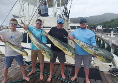 Fresh Mahi fish in St. Croix