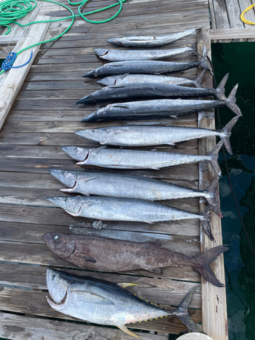 Miami Beach Florida Best Fishing Spots